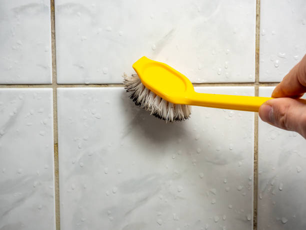 Best Same-Day Mold Removal  in Thomasville, GA