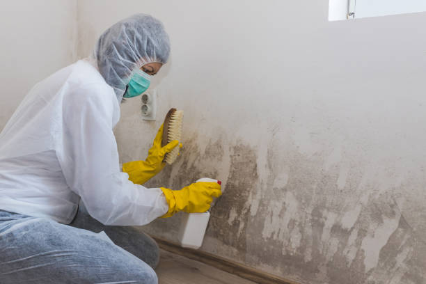 Best Crawl Space Mold Removal  in Thomasville, GA