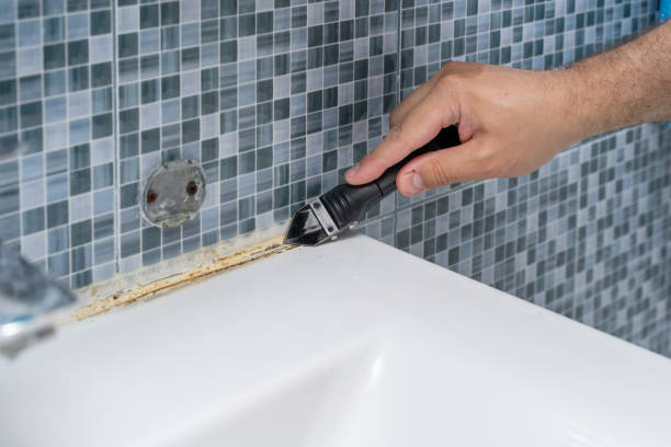Best Black Mold Removal  in Thomasville, GA