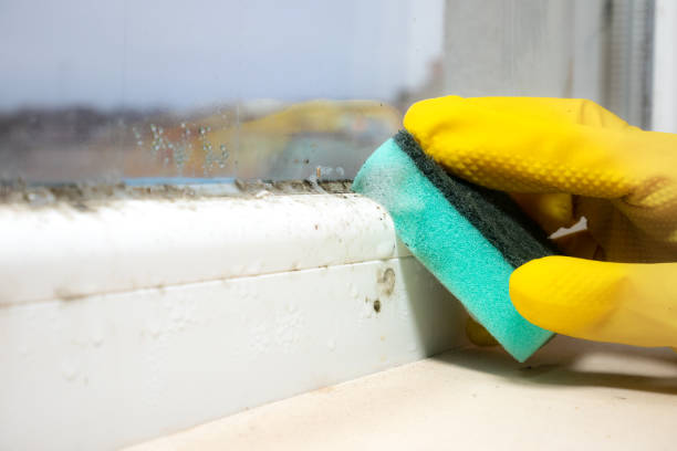 Best Home Mold Removal  in Thomasville, GA