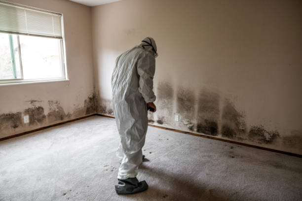Best Attic Mold Removal  in Thomasville, GA