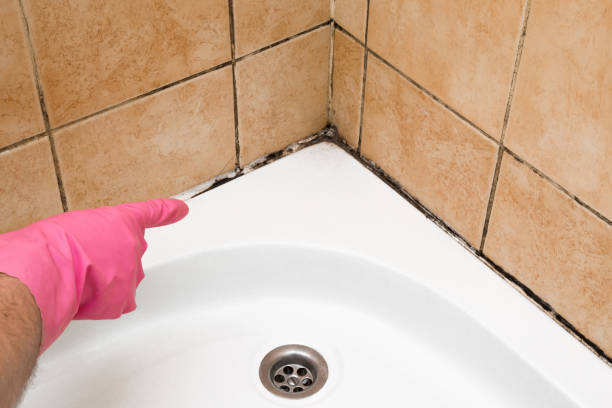 Best Professional Mold Removal  in Thomasville, GA